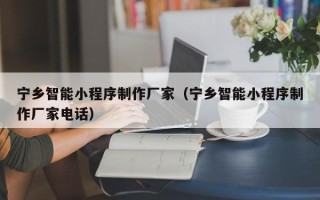 丹阳宁乡智能小程序制作厂家（宁乡智能小程序制作厂家电话）